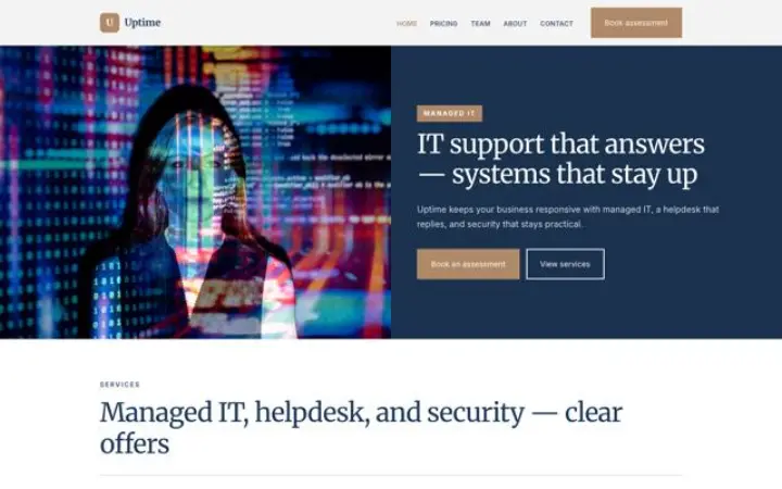 Website for it service