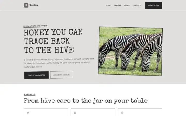 Website for apiary