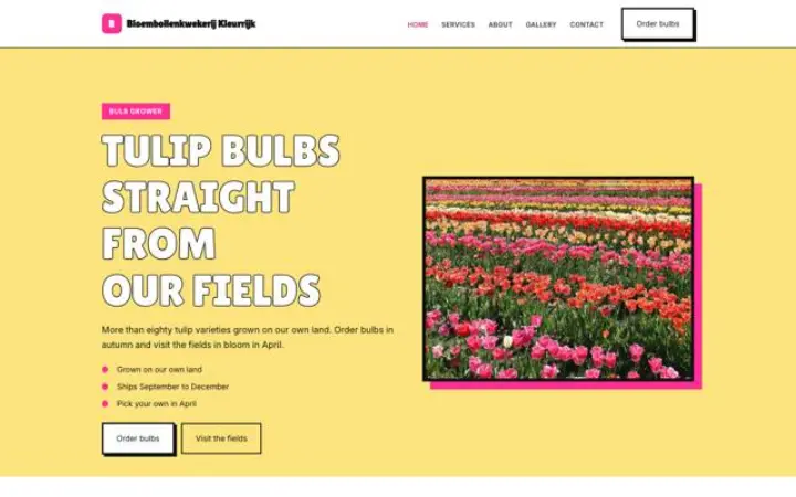 Website for tulip bulb grower