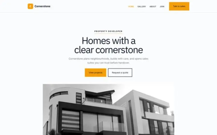 Website for developer