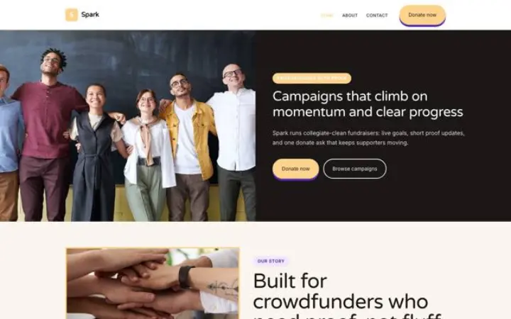 Website for fundraiser