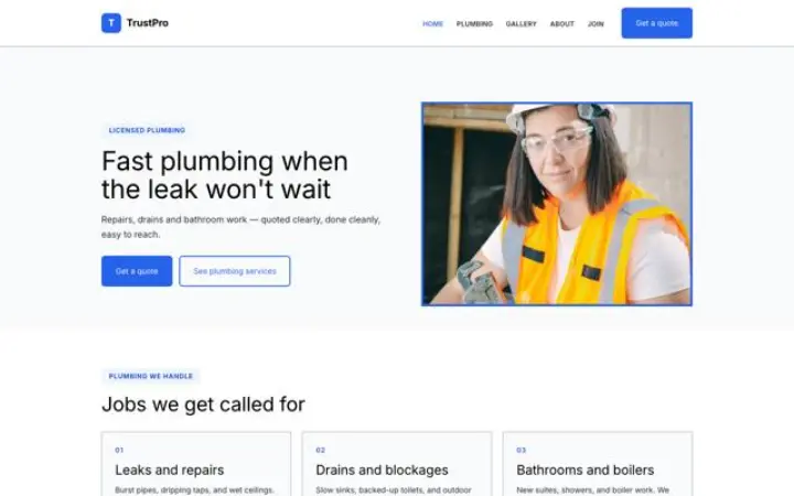 Theme TrustPro