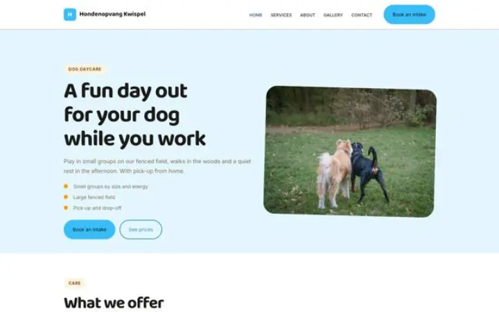 Website for dog daycare