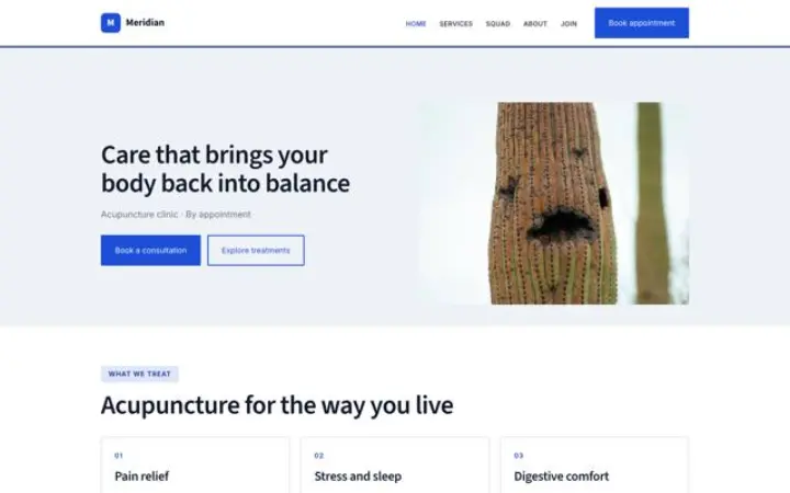 Website for acupuncturist