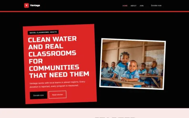 Website for ngo