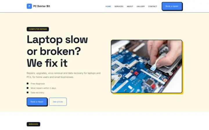Website for computer repair