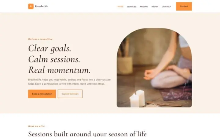 Website for wellness consultant